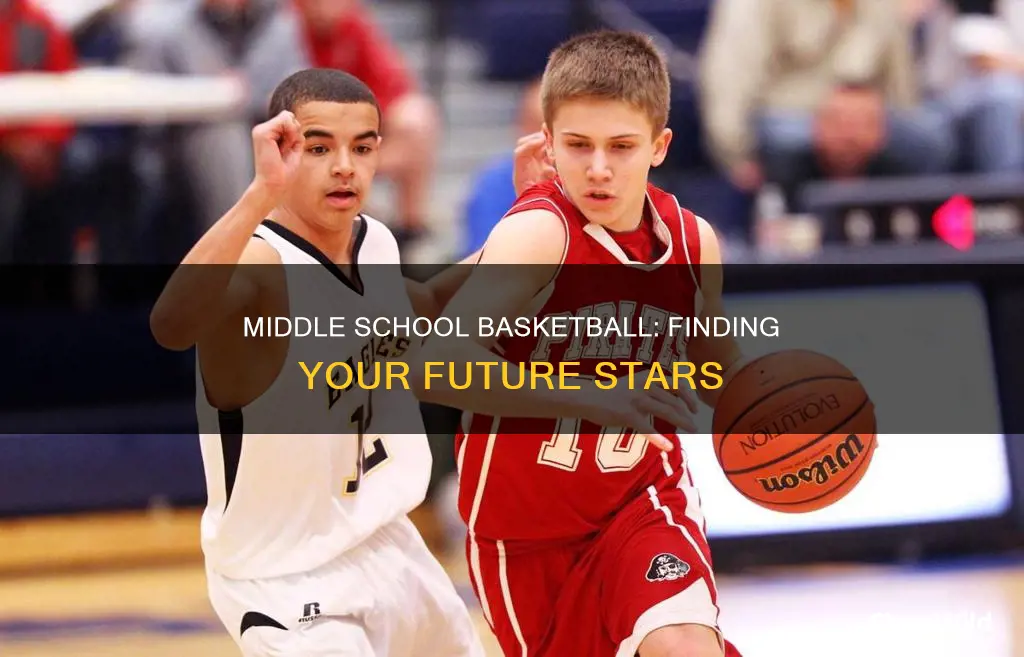 is there recruits for middle school basketball