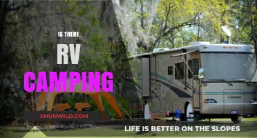 Exploring the Great Outdoors: Is There RV Camping for You?