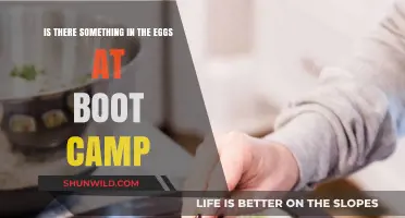 Boot Camp Eggs: Unraveling the Mystery Behind the Rumors