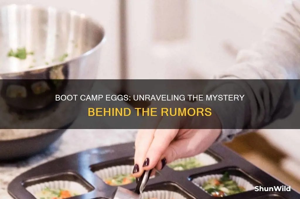 is there something in the eggs at boot camp
