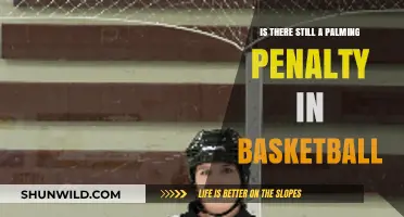 Palming in Basketball: What's the Current Penalty?