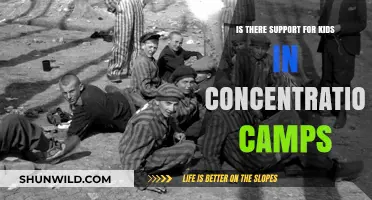Support for Children in Concentration Camps: A Critical Examination