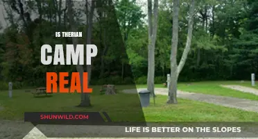 Unveiling the Truth: Is Therian Camp a Real Phenomenon?