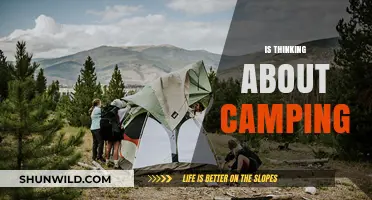 Exploring the Great Outdoors: Is Camping the Right Adventure for You?
