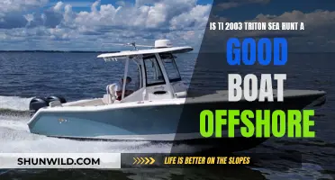 Triton Sea Hunt 2003: A Reliable Offshore Boat?