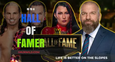 What Makes a Hall of Famer?
