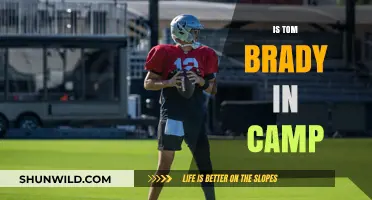Is Tom Brady Attending Training Camp This Season? Latest Updates