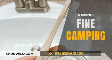 Is Toothpaste Camping-Friendly? Eco-Tips for Outdoor Oral Care