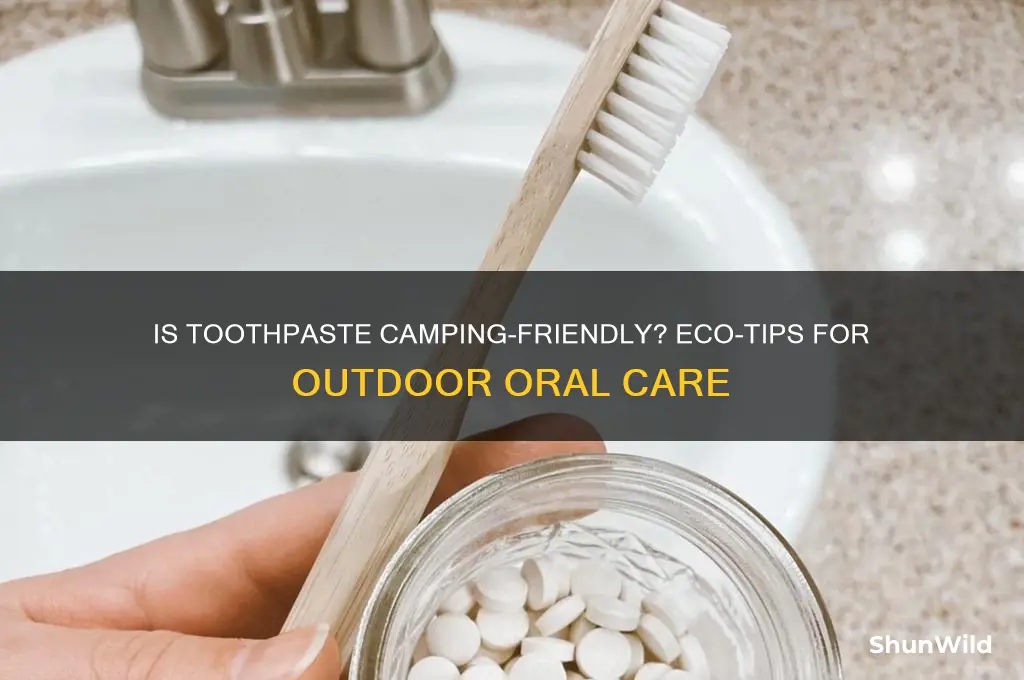 is toothpaste fine camping