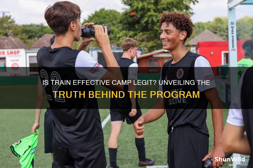 is train effective camp legit