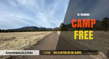 Is Training Camp Free? Exploring Costs and Accessibility for All