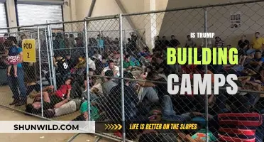 Trump's Detention Centers: Camps or Immigration Facilities?