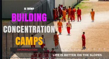 Trump's Detention Centers: Concentration Camps or Immigration Policy?