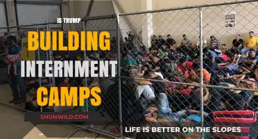 Trump's Detention Centers: Internment Camps or Border Security Measures?