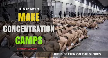 Trump's Policies: Are Concentration Camps a Looming Reality?
