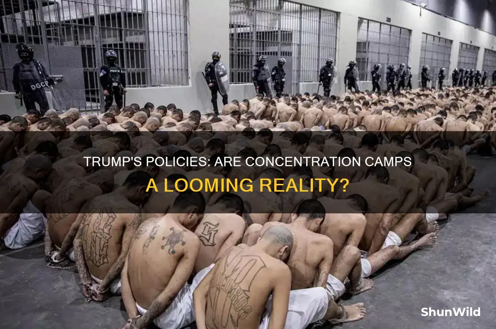 is trump going to make concentration camps