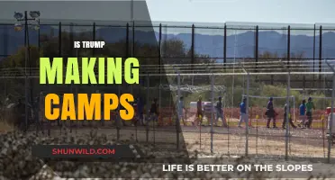 Trump's Detention Policies: Are Camps Being Built in America?