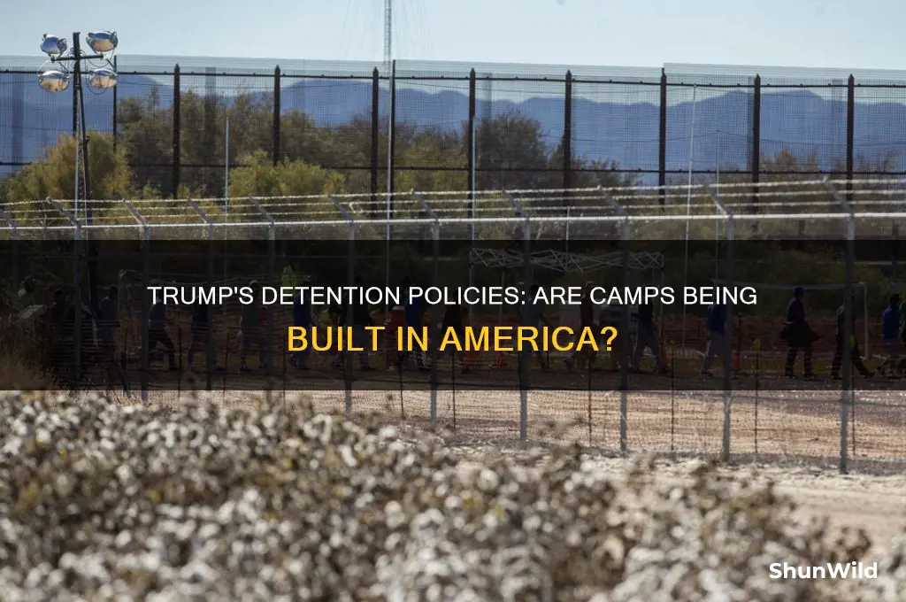 is trump making camps