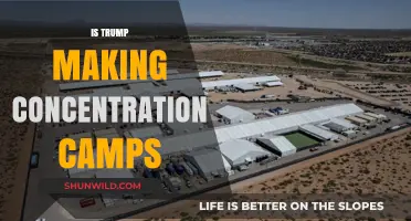Are Trump's Detention Centers Modern-Day Concentration Camps? A Critical Analysis