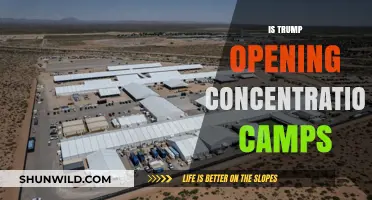 Trump's Detention Centers: Are They Modern-Day Concentration Camps?