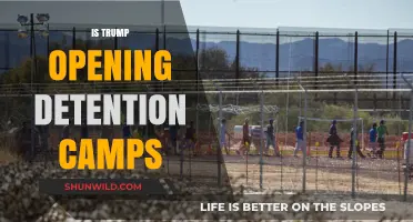 Trump's Detention Camps: Fact or Fiction? Uncovering the Truth