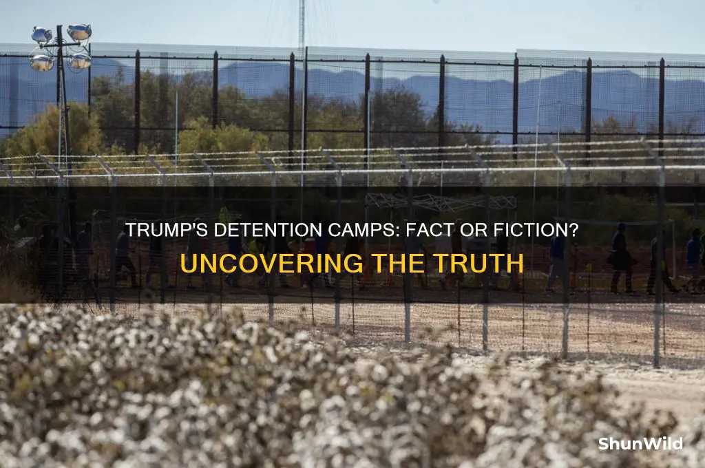is trump opening detention camps