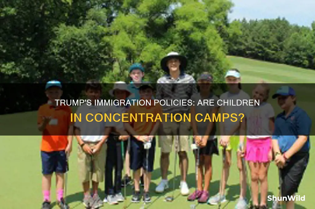 is trump putting children in concentration camps
