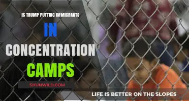 Trump's Immigration Policies: Are Detention Centers Modern Concentration Camps?