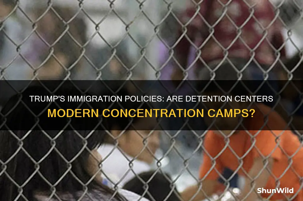 is trump putting immigrants in concentration camps