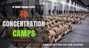 Trump's Immigration Policies: Are They Leading to Concentration Camps?