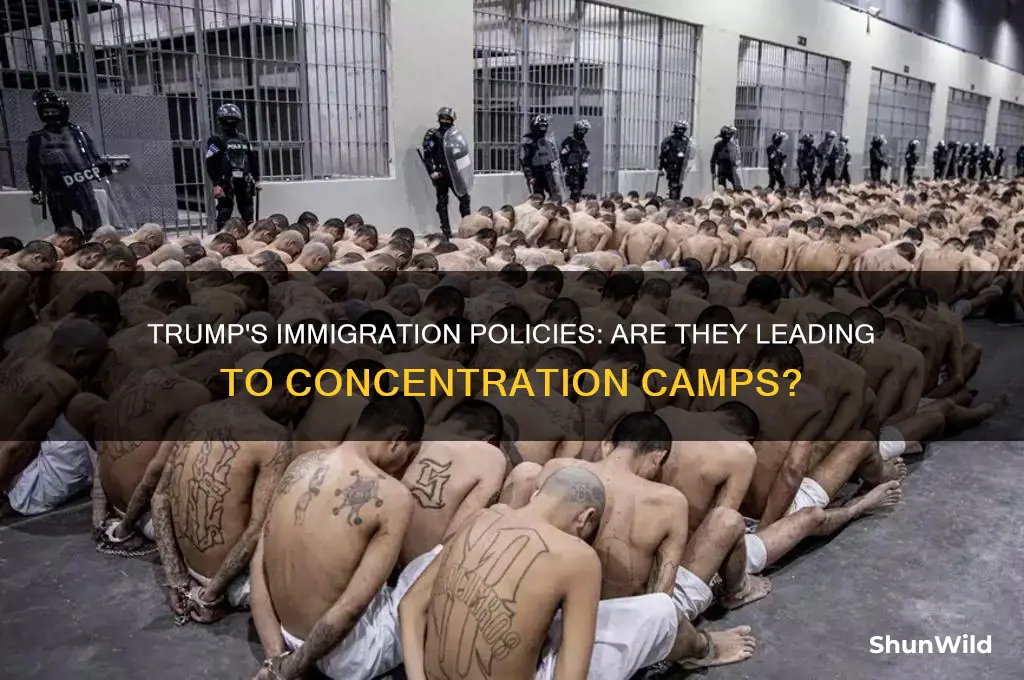 is trump sending people to concentration camps