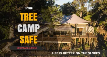 Is Tubu Tree Camp Safe? Exploring Security and Wildlife Concerns