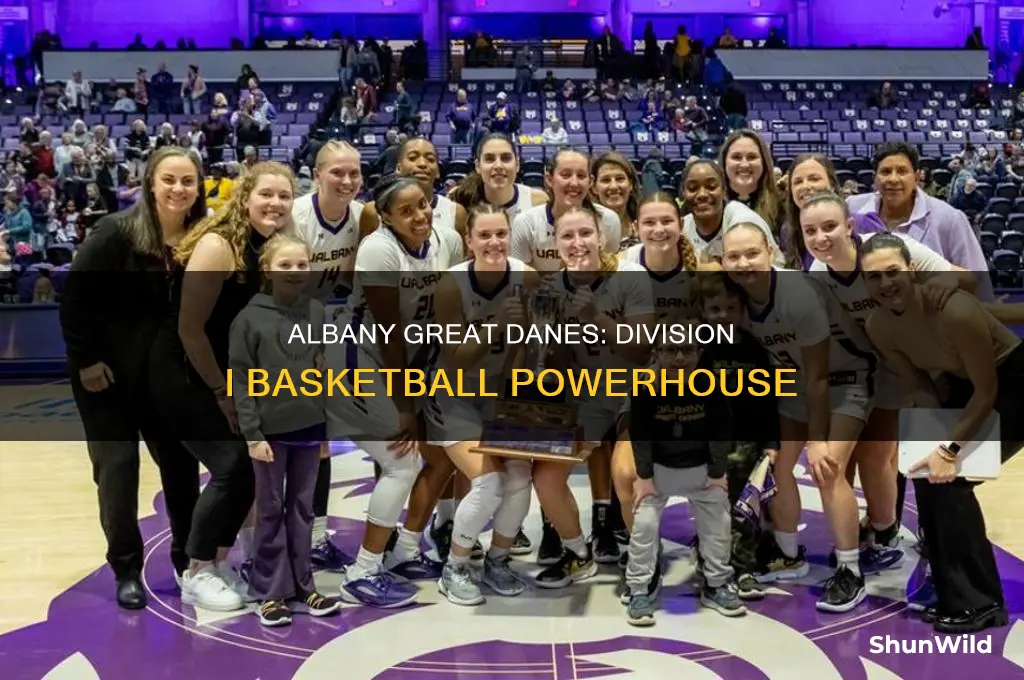 is ualbany d1 basketball
