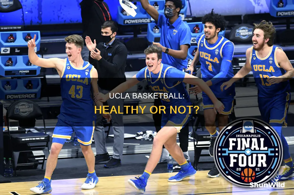 is ucla basketball healthy