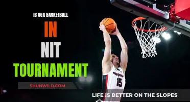 Georgia Bulldogs: NIT Tournament Contenders?