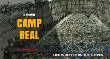 Unveiling the Truth: Are Uighur Camps a Reality or Myth?