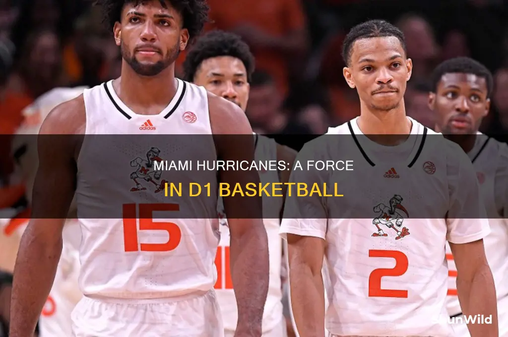 is university of miami d1 basketball
