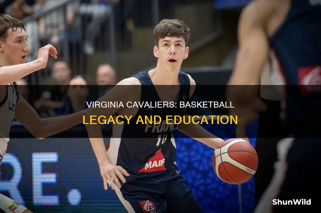 is university of virginia a good basketball school