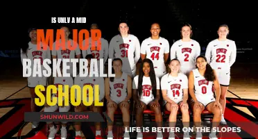 UNLV's Basketball Program: Major Success, Mid-Major Status?