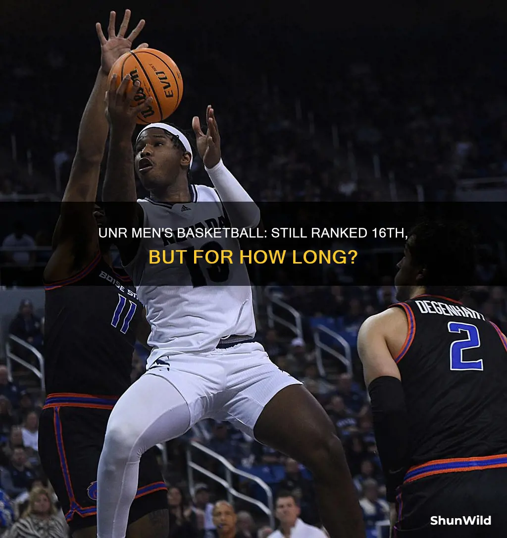is unr mens basketball still no 16