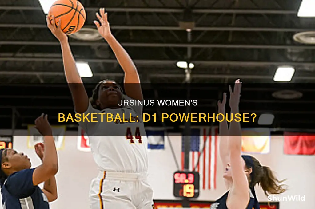 is ursinis division 1 basketball womens
