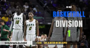 USF Basketball: Division 1 Status Explained