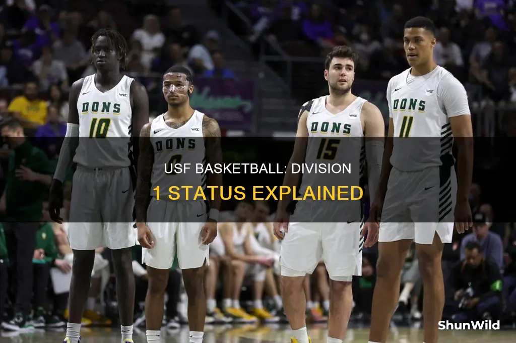 is usf basketball division 1