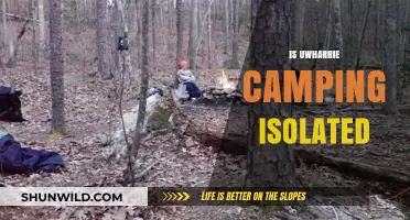 Is Uwharrie Camping Truly Isolated? Exploring the Wilderness Experience