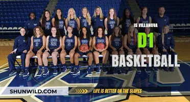 Villanova Basketball: A Top-Tier D1 Program