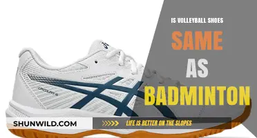 Volleyball vs Badminton Shoes: What's the Difference?