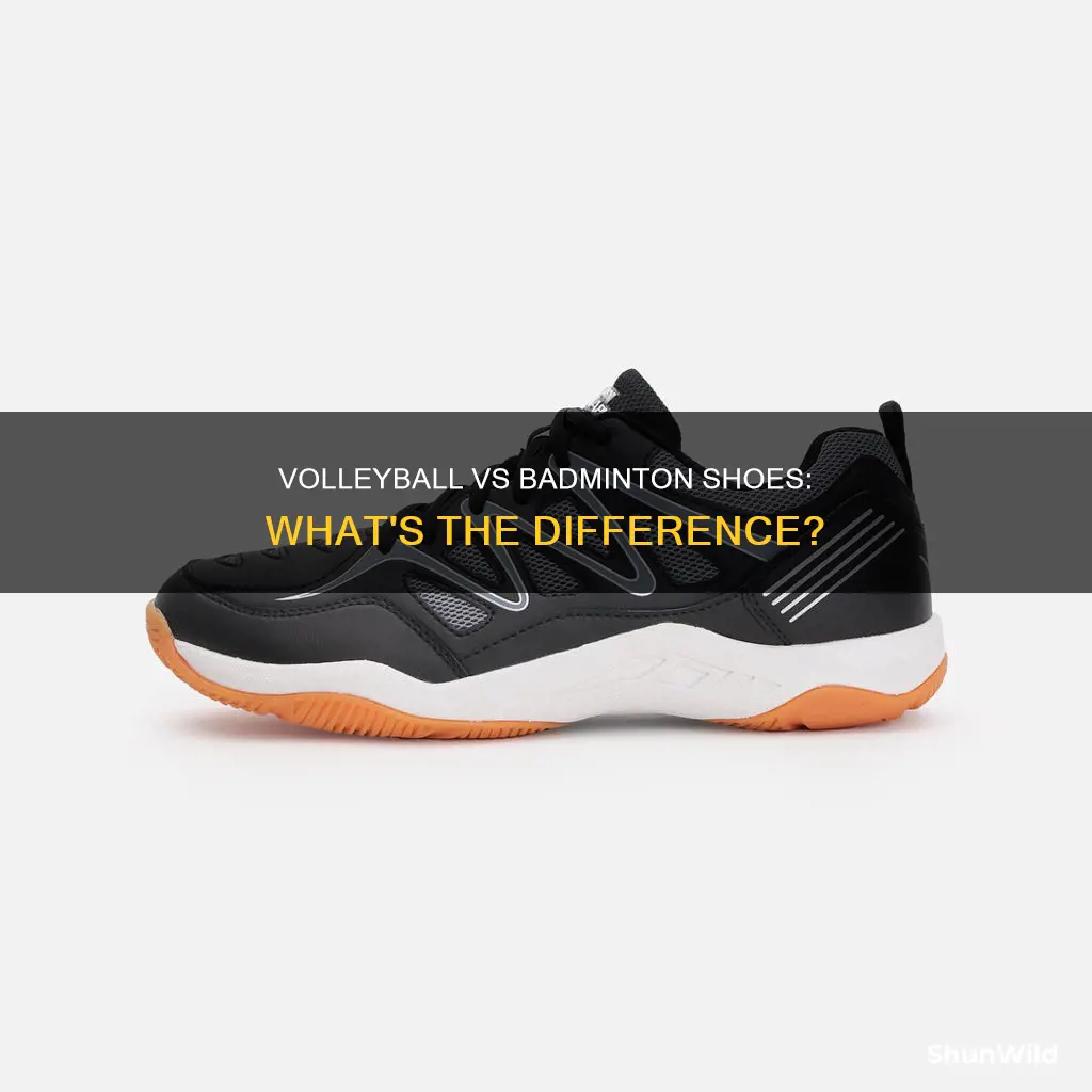is volleyball shoes same as badminton