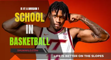 VT's Basketball Division Standing: What You Need to Know