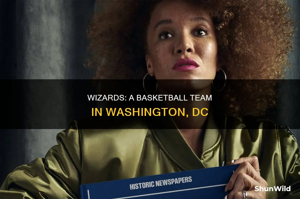 is washingtom wizards a basketball tema