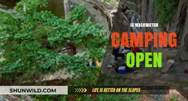 Is Washington Camping Open? Current Status and Updates for Campers